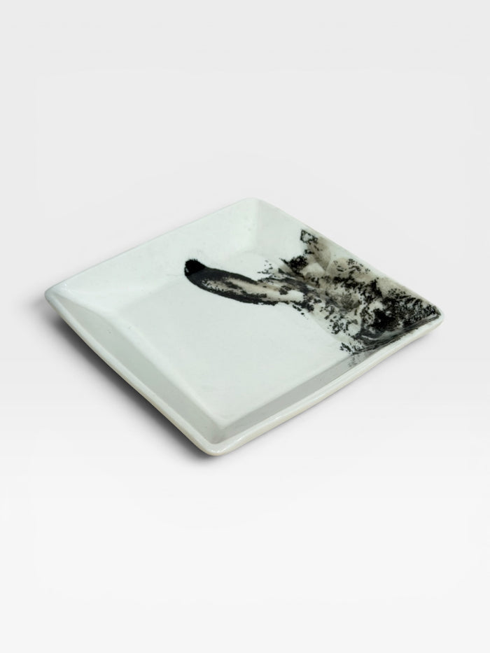 Mini Plate - Burro 2