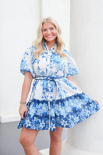 Ari Dress