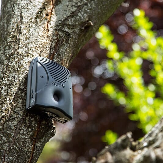 Discreet Neighbor Pack – MAX