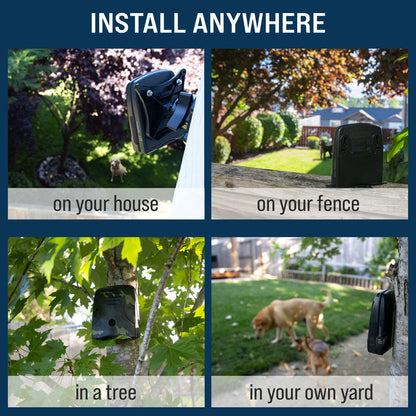 Discreet Neighbor Pack – MAX