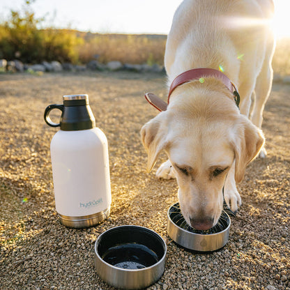 HydroPet Stainless Steel Dog Water Bottle with Dual Bowls (32 oz / 64 oz)