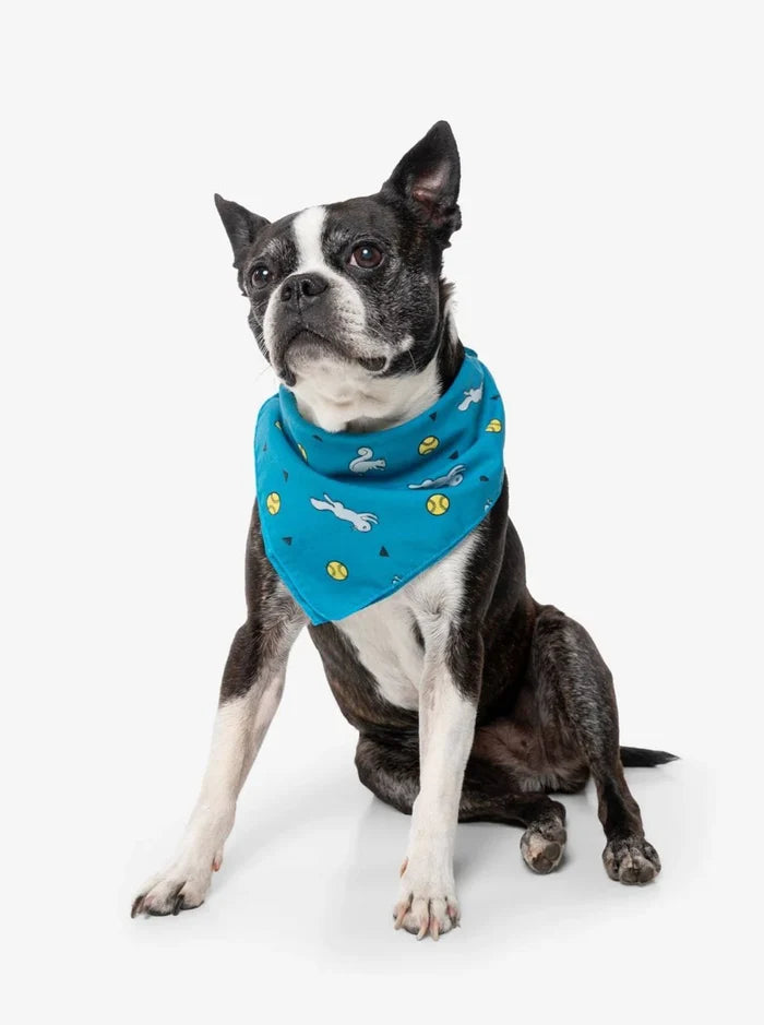 Insect Shield Dog Bandana
