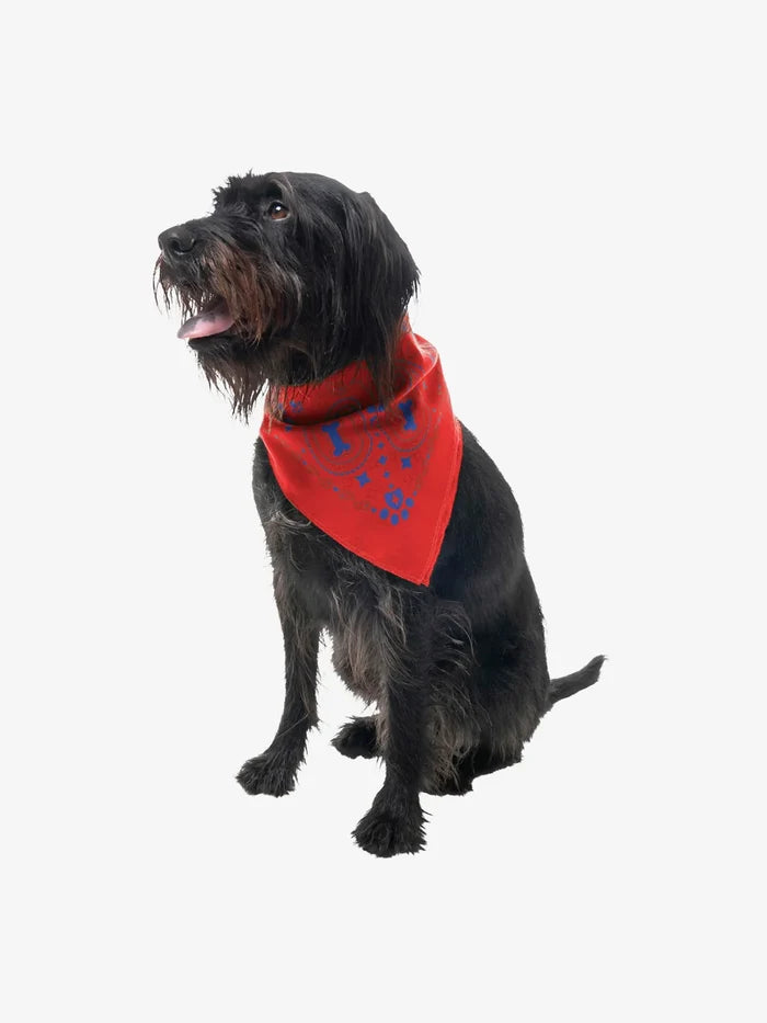 Insect Shield Dog Bandana