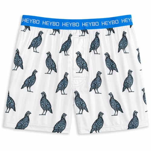 Performance Boxer: Quail