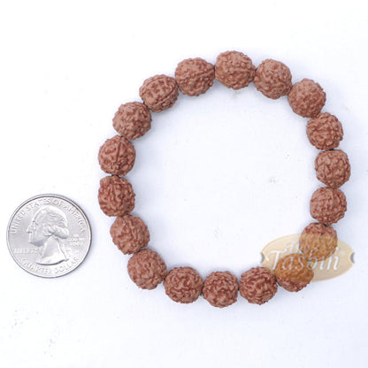 Rudraksha Beaded Bracelet - 10 mm Jenitri Seed Healing Prayer Beads with 19 Beads On Elastic Cord
