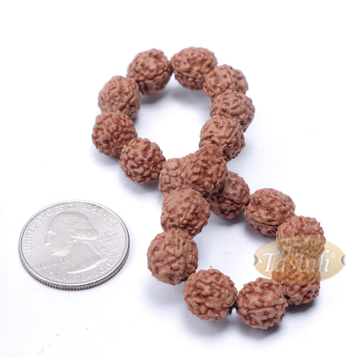 Rudraksha Beaded Bracelet - 10 mm Jenitri Seed Healing Prayer Beads with 19 Beads On Elastic Cord