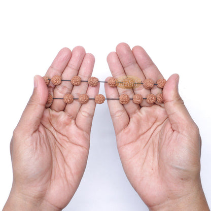 Rudraksha Beaded Bracelet - 10 mm Jenitri Seed Healing Prayer Beads with 19 Beads On Elastic Cord