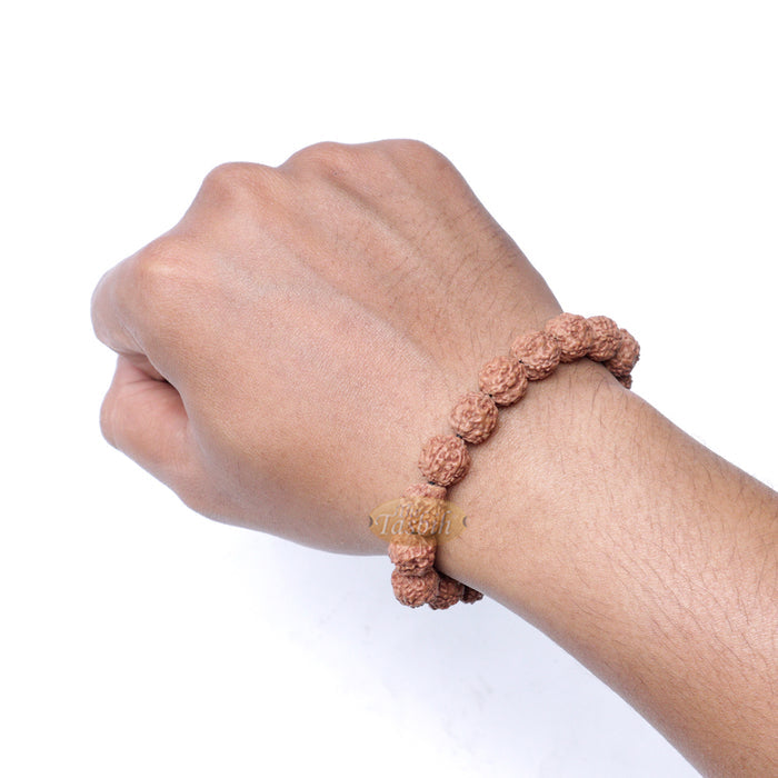 Rudraksha Beaded Bracelet - 10 mm Jenitri Seed Healing Prayer Beads with 19 Beads On Elastic Cord