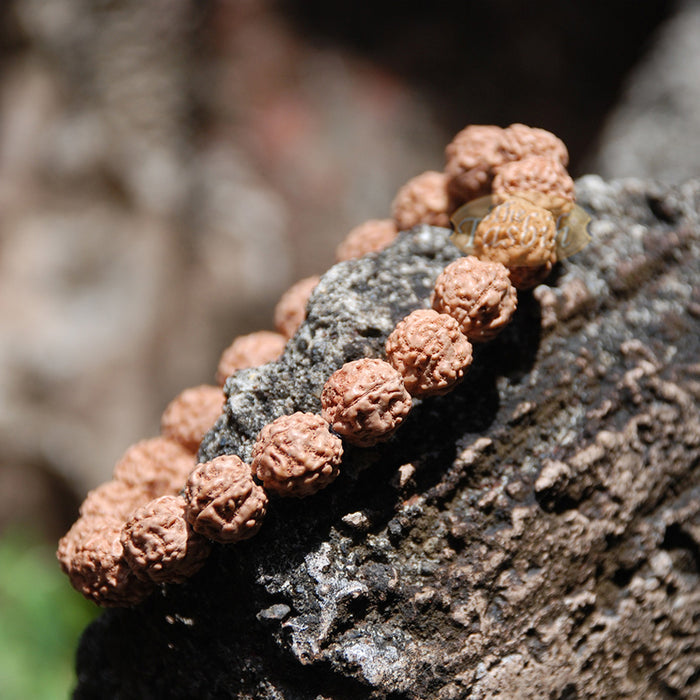 Rudraksha Beaded Bracelet - 10 mm Jenitri Seed Healing Prayer Beads with 19 Beads On Elastic Cord