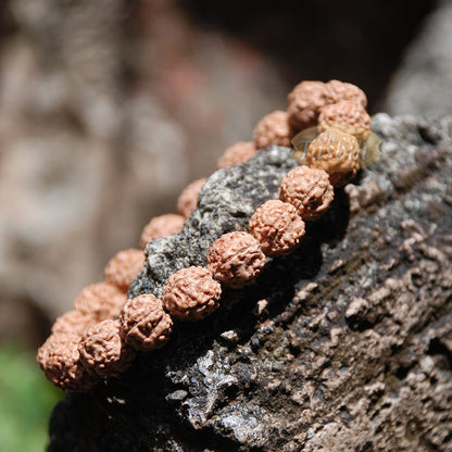 Rudraksha Beaded Bracelet - 10 mm Jenitri Seed Healing Prayer Beads with 19 Beads On Elastic Cord