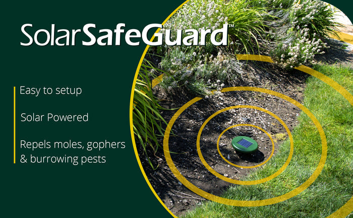 Solar SafeGuard™